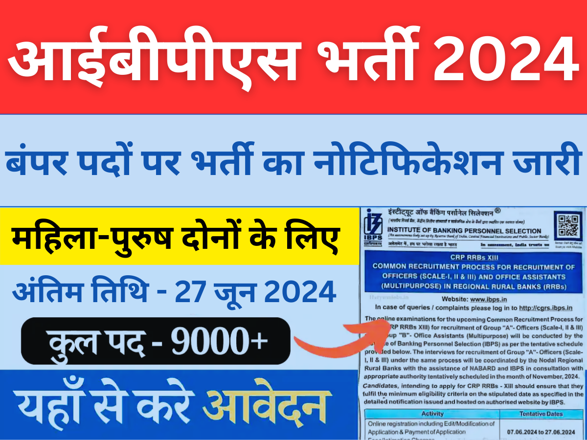 आईबीपीएस भर्ती 2024: कुल 9000 पदों पर भर्ती का नोटिफिकेशन जारी हुआ, ऑनलाइन आवेदन शुरू। सम्पूर्ण जानकारियां